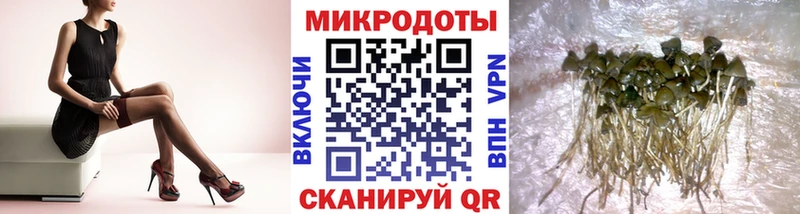 Галлюциногенные грибы Cubensis  Купить  Богородицк 
